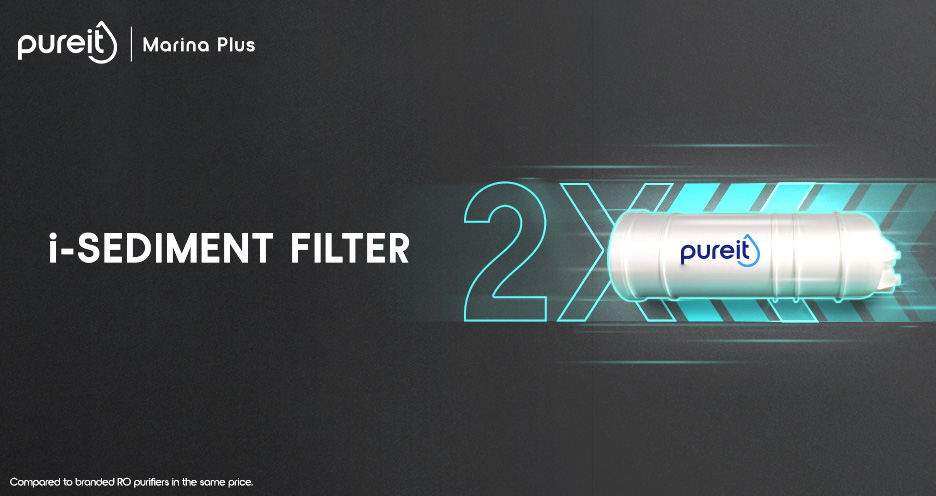 Integrated Sediment Filter 
