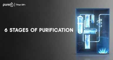 6 stages of purification